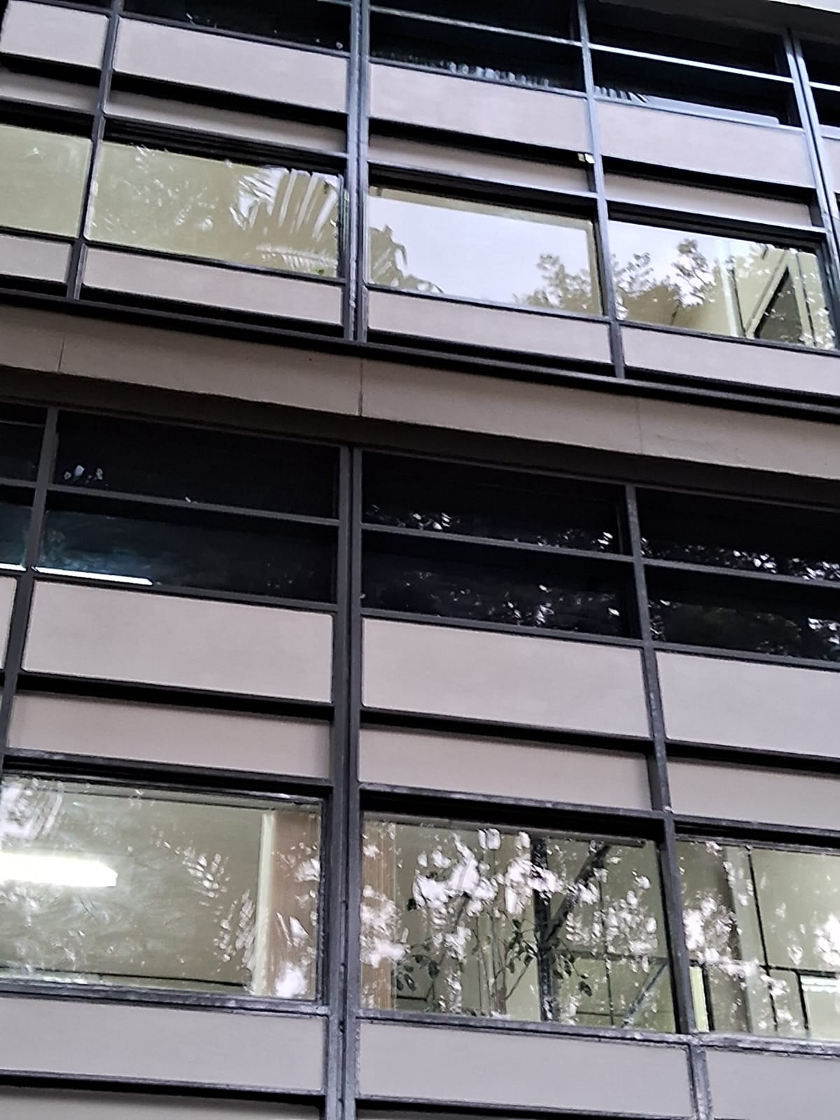 Espelhado Unicamp Pintura 5